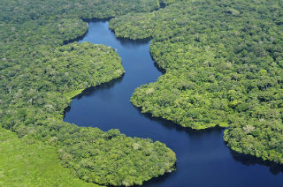Amazonas flod og regnskov i Brasilien
