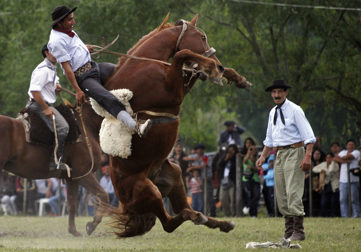 En gaucho ridder en utæmmet hest i San Antonio de Areco